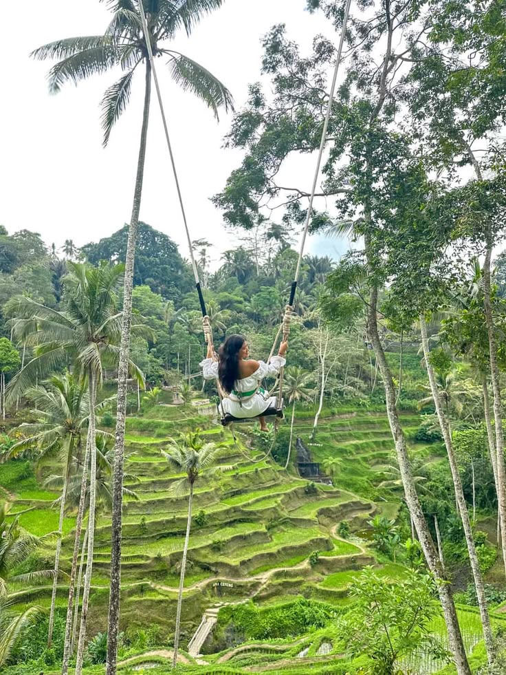 Tegalalang Rice Terrace The Ultimate Guide in 2026