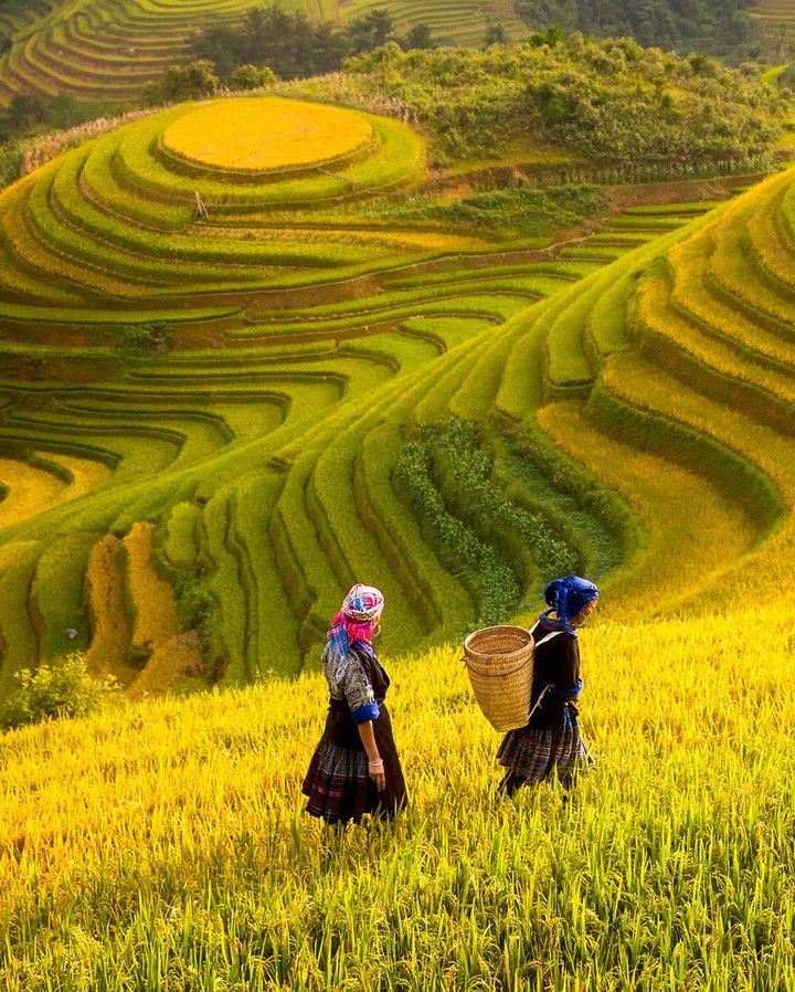 Explore wonderful places with Le Petit Fute